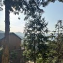 하동편백자연휴양림 | 경남 하동 여행ㅣ하동편백자연휴양림ㅣ104호 치유의 방 1박2일 후기