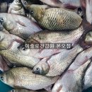 이슬로건강원 이미지