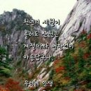 일본에서 개최한 세계최고미인대회 1등한 독일여성 잠적 후 한국시골에서 포착되자 전세계 깜짝 이미지