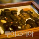 온투어세상