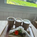 도화지(dohwaji) 이미지