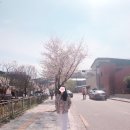 [OOTD] 봄 데일리룩, 벚꽃 패션