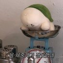 손수디저트아뜰리에 | 문지동 카페에서 찾은 여름 최애! 1인 빙수부터 수제청 에이드까지, 손수담아 아뜰리에 후기