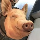 웃음짓는약국 이미지