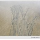 멜로디펜션 - 용인시 처인구 유림로227번길 23 | 멜로디펜션
