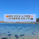 서해에서아침을 | 서해바다 차박 캠핑 취사 가능 태안 노지캠핑ㅣ천리포해수욕장 해루질 2일차 캠핑 후기