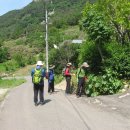 보두산-낙화산 산행 (1) 이미지