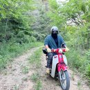 진일슈퍼 이미지