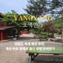 바다연가펜션 | 강원도 독채 펜션 아기랑 숙소 양양 계곡이 있는 오색연가
