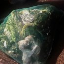 논산시 동물보호센터 이미지