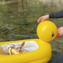 도전캠핑장 이미지