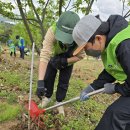 희망나무심기1 이미지