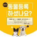 삼척동물병원