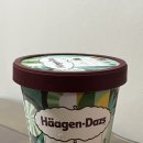 하겐다즈 민트초코 파인트 내돈내산 후기 (๑˃̵ᴗ˂̵)و ♡/ GS25 편의점 하겐다즈 이벤트