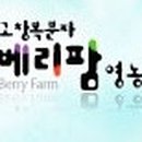 베리팜