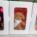 뭉뭉이네 이미지