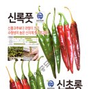 신비너스 이미지