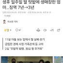 생후 일주일 딸 텃밭에 생매장한 엄마 이미지