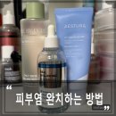 코로나 극복을 위한 건강 레시피 | 지루성 피부염 주사 피부염 극복 완치 후기