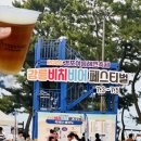 비어로맨스 | [강릉] 경포대 강릉비치 비어 페스티벌 방문 후기🧸⭐️