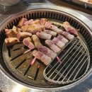 굽돌이
