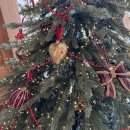 신평동1143 | 부산 유럽풍 브런치 맛집 : 그랑비 크리스마스 트리 감성 카페