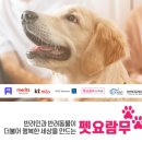 반려라이프 이미지