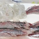 선명회센타 이미지