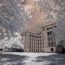 새로운 시각으로 촬영한 호주 수도의 적외선 사진 이미지