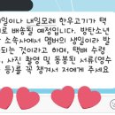 쏘네 이미지