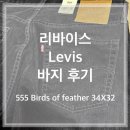 555 | [Levis 리바이스 바지] 후기 (리바이스 555 34X32)