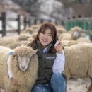 유라이크 이미지