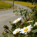 가창 송하 이미지