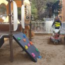 샘머리초교병설 이미지