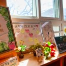 덕문중학교 | 부산,울산,양산/덕문중학교 진로공연 후기..