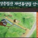 흥림산자연휴양림 이미지