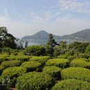 수림 농장 이미지