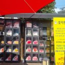 유랜드약국 네이버블로그