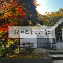 그레이트풀그라운드 이미지