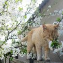 홍주중고등학교 이미지