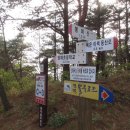 버킹검여관 이미지