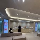 생활양재 | 양재치과 30대 어금니 임플란트 비용 후기