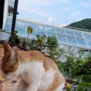 그늘막53 이미지