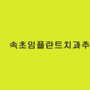 #대만 #타이완 #맥모닝 속초임플란트치과추천