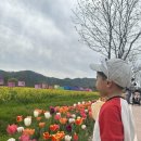 씨유 창녕남지유채점 | 창녕 남지 유채꽃축제 후기 🌼 아이와 다녀온 봄 나들이ㅣ주차 꿀팁 포함