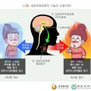 갑상선기능항진증 치료비(1년50%) 특별약관(갑상선기능항진증 및 갑상선기능항진증 치료의 정의 및 진단확정) 이미지