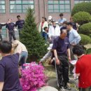 청수초등학교 이미지