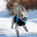 복지공원 앞 이미지