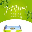 준 꽃벵이