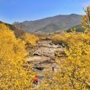 산촌캠프펜션 이미지